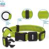 imageBest Pet Supplies Reflective Dog Collar with Adjustable Length HeavyDuty Buckle and Strong Leash DRing Training Walking Jogging Accessory for Small Medium and Large Breeds  Baby Blue MCollar Lime Green