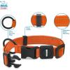 imageBest Pet Supplies Reflective Dog Collar with Adjustable Length HeavyDuty Buckle and Strong Leash DRing Training Walking Jogging Accessory for Small Medium and Large Breeds  Baby Blue MCollar Orange