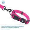 imageBest Pet Supplies Reflective Dog Collar with Adjustable Length HeavyDuty Buckle and Strong Leash DRing Training Walking Jogging Accessory for Small Medium and Large Breeds  Baby Blue MCollar Fuchsia