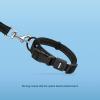 imageBest Pet Supplies Reflective Dog Collar with Adjustable Length HeavyDuty Buckle and Strong Leash DRing Training Walking Jogging Accessory for Small Medium and Large Breeds  Baby Blue MLeash Collar Set Black