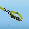 imageBest Pet Supplies Reflective Dog Collar with Adjustable Length HeavyDuty Buckle and Strong Leash DRing Training Walking Jogging Accessory for Small Medium and Large Breeds  Baby Blue MLeash Collar Set Lime Green