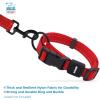 imageBest Pet Supplies Reflective Dog Collar with Adjustable Length HeavyDuty Buckle and Strong Leash DRing Training Walking Jogging Accessory for Small Medium and Large Breeds  Baby Blue MCollar Red