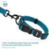 imageBest Pet Supplies Reflective Dog Collar with Adjustable Length HeavyDuty Buckle and Strong Leash DRing Training Walking Jogging Accessory for Small Medium and Large Breeds  Baby Blue MCollar Turquoise