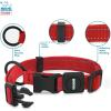imageBest Pet Supplies Reflective Dog Collar with Adjustable Length HeavyDuty Buckle and Strong Leash DRing Training Walking Jogging Accessory for Small Medium and Large Breeds  Baby Blue MCollar Red