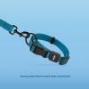 imageBest Pet Supplies Reflective Dog Collar with Adjustable Length HeavyDuty Buckle and Strong Leash DRing Training Walking Jogging Accessory for Small Medium and Large Breeds  Baby Blue MLeash Collar Set Turquoise