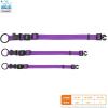imageBest Pet Supplies Reflective Dog Collar with Adjustable Length HeavyDuty Buckle and Strong Leash DRing Training Walking Jogging Accessory for Small Medium and Large Breeds  Baby Blue MCollar Purple