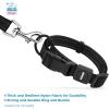 imageBest Pet Supplies Reflective Dog Collar with Adjustable Length HeavyDuty Buckle and Strong Leash DRing Training Walking Jogging Accessory for Small Medium and Large Breeds  Baby Blue MCollar Black