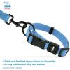 imageBest Pet Supplies Reflective Dog Collar with Adjustable Length HeavyDuty Buckle and Strong Leash DRing Training Walking Jogging Accessory for Small Medium and Large Breeds  Baby Blue MCollar Baby Blue