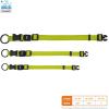imageBest Pet Supplies Reflective Dog Collar with Adjustable Length HeavyDuty Buckle and Strong Leash DRing Training Walking Jogging Accessory for Small Medium and Large Breeds  Baby Blue MCollar Lime Green