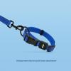 imageBest Pet Supplies Reflective Dog Collar with Adjustable Length HeavyDuty Buckle and Strong Leash DRing Training Walking Jogging Accessory for Small Medium and Large Breeds  Baby Blue MLeash Collar Set Royal Blue