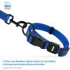 imageBest Pet Supplies Reflective Dog Collar with Adjustable Length HeavyDuty Buckle and Strong Leash DRing Training Walking Jogging Accessory for Small Medium and Large Breeds  Baby Blue MCollar Royal Blue