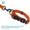 imageBest Pet Supplies Reflective Dog Collar with Adjustable Length HeavyDuty Buckle and Strong Leash DRing Training Walking Jogging Accessory for Small Medium and Large Breeds  Baby Blue MCollar Orange