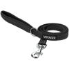 imageBest Pet Supplies Reflective Dog Collar with Adjustable Length HeavyDuty Buckle and Strong Leash DRing Training Walking Jogging Accessory for Small Medium and Large Breeds  Baby Blue MLeash Black