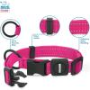 imageBest Pet Supplies Reflective Dog Collar with Adjustable Length HeavyDuty Buckle and Strong Leash DRing Training Walking Jogging Accessory for Small Medium and Large Breeds  Baby Blue MCollar Fuchsia