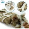 imageBest Pet Supplies Tough Dog Toys for Aggressive Chewers  Squeaky Dog Toys NonToxic Spiky Ball for Dental Health Interactive Toy Orange L35quotBrown Snow Leopard