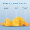 imageBest Pet Supplies Tough Dog Toys for Aggressive Chewers  Squeaky Dog Toys NonToxic Spiky Ball for Dental Health Interactive Toy Pack of 2 Blue Orange M25quotDucky Doodle Yellow