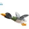 imageBest Pet Supplies Tough Dog Toys for Aggressive Chewers  Squeaky Dog Toys NonToxic Spiky Ball for Dental Health Interactive Toy Pack of 2 Blue Orange M25quotDuck Mystery Box