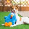 imageBest Pet Supplies Tough Dog Toys for Aggressive Chewers  Squeaky Dog Toys NonToxic Spiky Ball for Dental Health Interactive Toy Pack of 2 Blue Orange M25quotCluck Blue