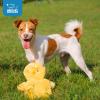imageBest Pet Supplies Tough Dog Toys for Aggressive Chewers  Squeaky Dog Toys NonToxic Spiky Ball for Dental Health Interactive Toy Pack of 2 Blue Orange M25quotCrinkle Chicken Yellow