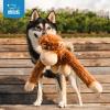 imageBest Pet Supplies Tough Dog Toys for Aggressive Chewers  Squeaky Dog Toys NonToxic Spiky Ball for Dental Health Interactive Toy Pack of 2 Blue Orange M25quotOHugAtan Brown