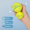 imageBest Pet Supplies Tough Dog Toys for Aggressive Chewers  Squeaky Dog Toys NonToxic Spiky Ball for Dental Health Interactive Toy Pack of 2 Blue Orange M25quotYellow Tennis
