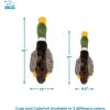 imageBest Pet Supplies Tough Dog Toys for Aggressive Chewers  Squeaky Dog Toys NonToxic Spiky Ball for Dental Health Interactive Toy Pack of 2 Blue Orange M25quotDuck Mystery Box