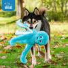 imageBest Pet Supplies Tough Dog Toys for Aggressive Chewers  Squeaky Dog Toys NonToxic Spiky Ball for Dental Health Interactive Toy Pack of 2 Blue Orange M25quotOctomutant Turquoise