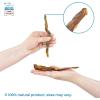 imageGigaBite Roasted Pig Ears for Dogs Natural and Healthy Chews Treats in Whole Slices or Sticks Safe for Puppies and Aggressive Chewers Clean Teeth and Gums  Pack of 100Slivers