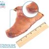 imageGigaBite Roasted Pig Ears for Dogs Natural and Healthy Chews Treats in Whole Slices or Sticks Safe for Puppies and Aggressive Chewers Clean Teeth and Gums  Pack of 100Whole Ears