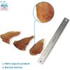 imageGigaBite Roasted Pig Ears for Dogs Natural and Healthy Chews Treats in Whole Slices or Sticks Safe for Puppies and Aggressive Chewers Clean Teeth and Gums  Pack of 100Whole Ears