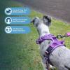 imageVoyager Dog Harness Dual Leash Attachment NoPull Control Adjustable Soft but Strong Pet Harness for Medium and Large Dogs with 3M Reflective Technology  Harness Leash Set Fuchsia MHarness Leash Set Purple Nylon