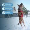 imageVoyager Dog Harness Dual Leash Attachment NoPull Control Adjustable Soft but Strong Pet Harness for Medium and Large Dogs with 3M Reflective Technology  Harness Leash Set Fuchsia MHarness Leash Set Red Nylon