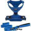 imageVoyager Dog Harness Dual Leash Attachment NoPull Control Adjustable Soft but Strong Pet Harness for Medium and Large Dogs with 3M Reflective Technology  Harness Leash Set Fuchsia MHarness Leash Set Royal Nylon