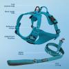 imageVoyager Dog Harness Dual Leash Attachment NoPull Control Adjustable Soft but Strong Pet Harness for Medium and Large Dogs with 3M Reflective Technology  Harness Leash Set Fuchsia MHarness Leash Set Turquoise Nylon