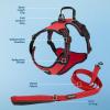 imageVoyager Dog Harness Dual Leash Attachment NoPull Control Adjustable Soft but Strong Pet Harness for Medium and Large Dogs with 3M Reflective Technology  Harness Leash Set Fuchsia MHarness Leash Set Red Nylon