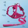 imageVoyager Dog Harness Dual Leash Attachment NoPull Control Adjustable Soft but Strong Pet Harness for Medium and Large Dogs with 3M Reflective Technology  Harness Leash Set Fuchsia MHarness Leash Set Fuchsia Nylon