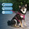 imageVoyager Dog Harness Dual Leash Attachment NoPull Control Adjustable Soft but Strong Pet Harness for Medium and Large Dogs with 3M Reflective Technology  Harness Leash Set Fuchsia MHarness Leash Set Fuchsia Nylon