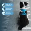 imageVoyager Dog Harness Dual Leash Attachment NoPull Control Adjustable Soft but Strong Pet Harness for Medium and Large Dogs with 3M Reflective Technology  Harness Leash Set Fuchsia MHarness Leash Set Turquoise Nylon
