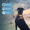 imageVoyager Dog Harness Dual Leash Attachment NoPull Control Adjustable Soft but Strong Pet Harness for Medium and Large Dogs with 3M Reflective Technology  Harness Leash Set Fuchsia MHarness Leash Set Orange Nylon