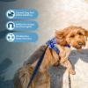 imageVoyager Dog Harness Dual Leash Attachment NoPull Control Adjustable Soft but Strong Pet Harness for Medium and Large Dogs with 3M Reflective Technology  Harness Leash Set Fuchsia MHarness Leash Set Royal Nylon