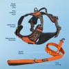 imageVoyager Dog Harness Dual Leash Attachment NoPull Control Adjustable Soft but Strong Pet Harness for Medium and Large Dogs with 3M Reflective Technology  Harness Leash Set Fuchsia MHarness Leash Set Orange Nylon