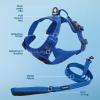 imageVoyager Dog Harness Dual Leash Attachment NoPull Control Adjustable Soft but Strong Pet Harness for Medium and Large Dogs with 3M Reflective Technology  Harness Leash Set Fuchsia MHarness Leash Set Royal Nylon