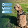 imageVoyager Dog Harness Dual Leash Attachment NoPull Control Adjustable Soft but Strong Pet Harness for Medium and Large Dogs with 3M Reflective Technology  Harness Leash Set Fuchsia MHarness Leash Set Black Nylon