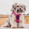 imageVoyager No Pull Dog Harness for Large Dogs Dual Leash Attachments Adjustable Soft but Strong Pet Harness with 3M Reflective Technology Lime Green Nylon M Chest 2025quotFuchsia Nylon