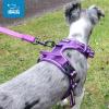 imageVoyager No Pull Dog Harness for Large Dogs Dual Leash Attachments Adjustable Soft but Strong Pet Harness with 3M Reflective Technology Lime Green Nylon M Chest 2025quotHarness Purple Lattice Nylon