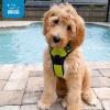 imageVoyager No Pull Dog Harness for Large Dogs Dual Leash Attachments Adjustable Soft but Strong Pet Harness with 3M Reflective Technology Lime Green Nylon M Chest 2025quotHarness Lime Green Nylon