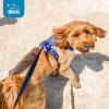 imageVoyager No Pull Dog Harness for Large Dogs Dual Leash Attachments Adjustable Soft but Strong Pet Harness with 3M Reflective Technology Lime Green Nylon M Chest 2025quotHarness Royal Blue Lattice Nylon