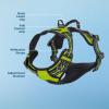 imageVoyager No Pull Dog Harness for Large Dogs Dual Leash Attachments Adjustable Soft but Strong Pet Harness with 3M Reflective Technology Lime Green Nylon M Chest 2025quotHarness Lime Green Nylon