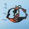 imageVoyager No Pull Dog Harness for Large Dogs Dual Leash Attachments Adjustable Soft but Strong Pet Harness with 3M Reflective Technology Lime Green Nylon M Chest 2025quotHarness Orange Nylon