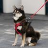 imageVoyager No Pull Dog Harness for Large Dogs Dual Leash Attachments Adjustable Soft but Strong Pet Harness with 3M Reflective Technology Lime Green Nylon M Chest 2025quotHarness Red Lattice Nylon